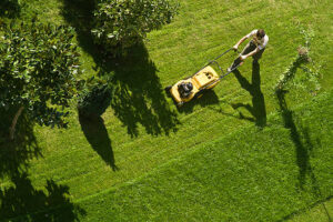 Garten im Herbst