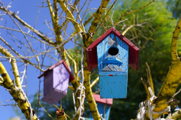Vogelhäuschen im privaten Garten